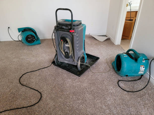 Best Local water damage restoration  in Stacy, MN