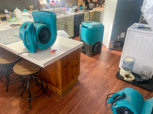 Best Commercial water damage restoration  in Stacy, MN