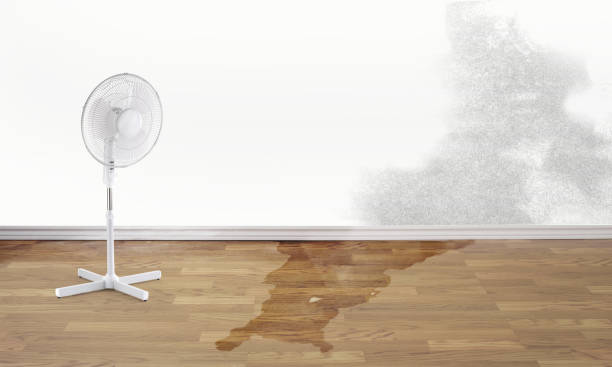 Best Emergency water damage restoration  in Stacy, MN