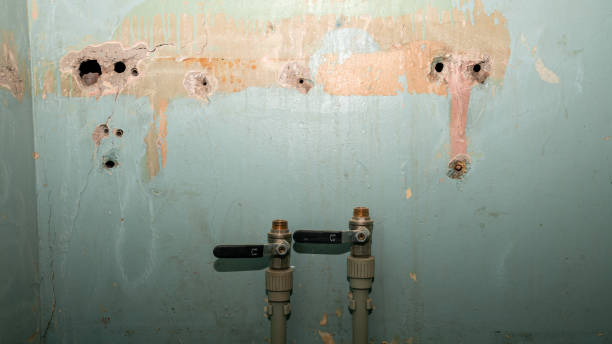 Best Flood restoration services  in Stacy, MN