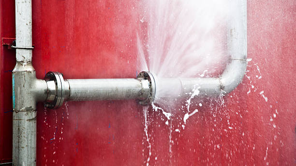 Best Basement water damage restoration  in Stacy, MN