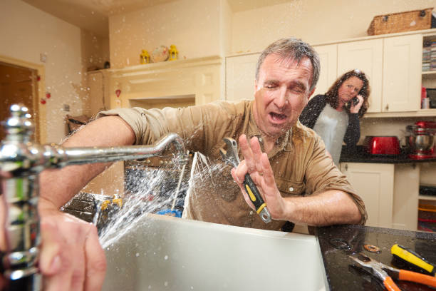 Best Sewage cleanup and water damage restoration  in Stacy, MN